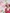 Mimi's Tiny Tassel Picks of the Week! - TheTinyTassel