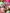 Introducing The Varshini Collection! - TheTinyTassel