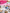 alt="event photos"