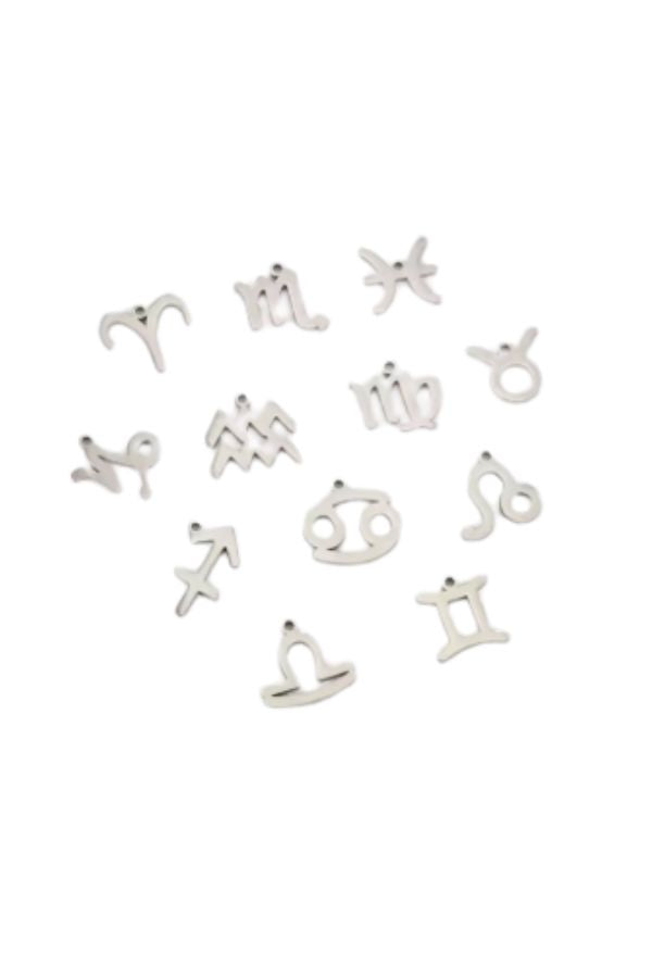 The Zodiac Charm in Silver